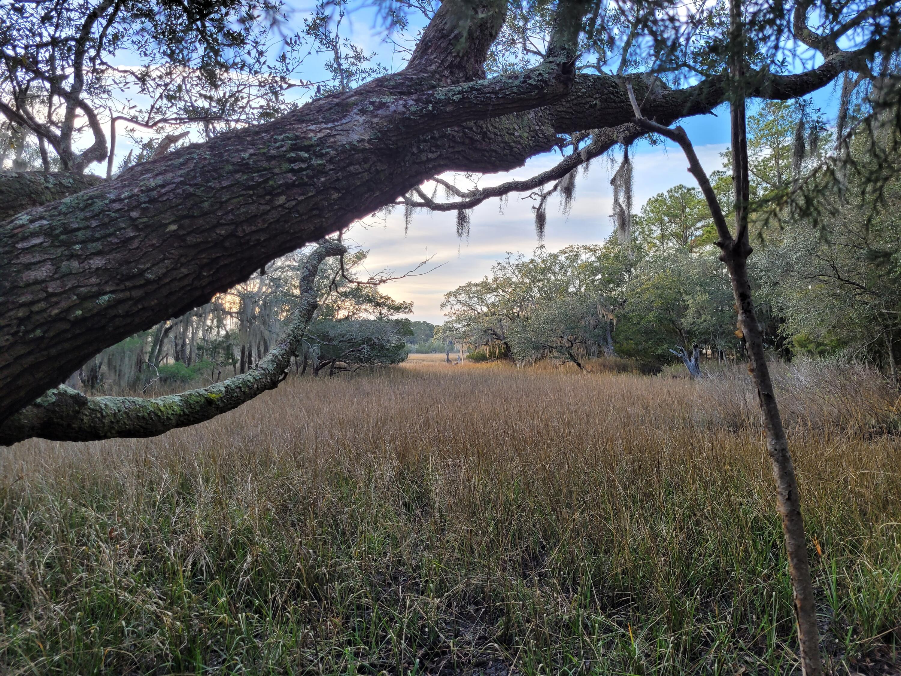 6258 Josie Ridge Road Wadmalaw Island, SC 29487 - Photo 4 of 18 20230103_170601