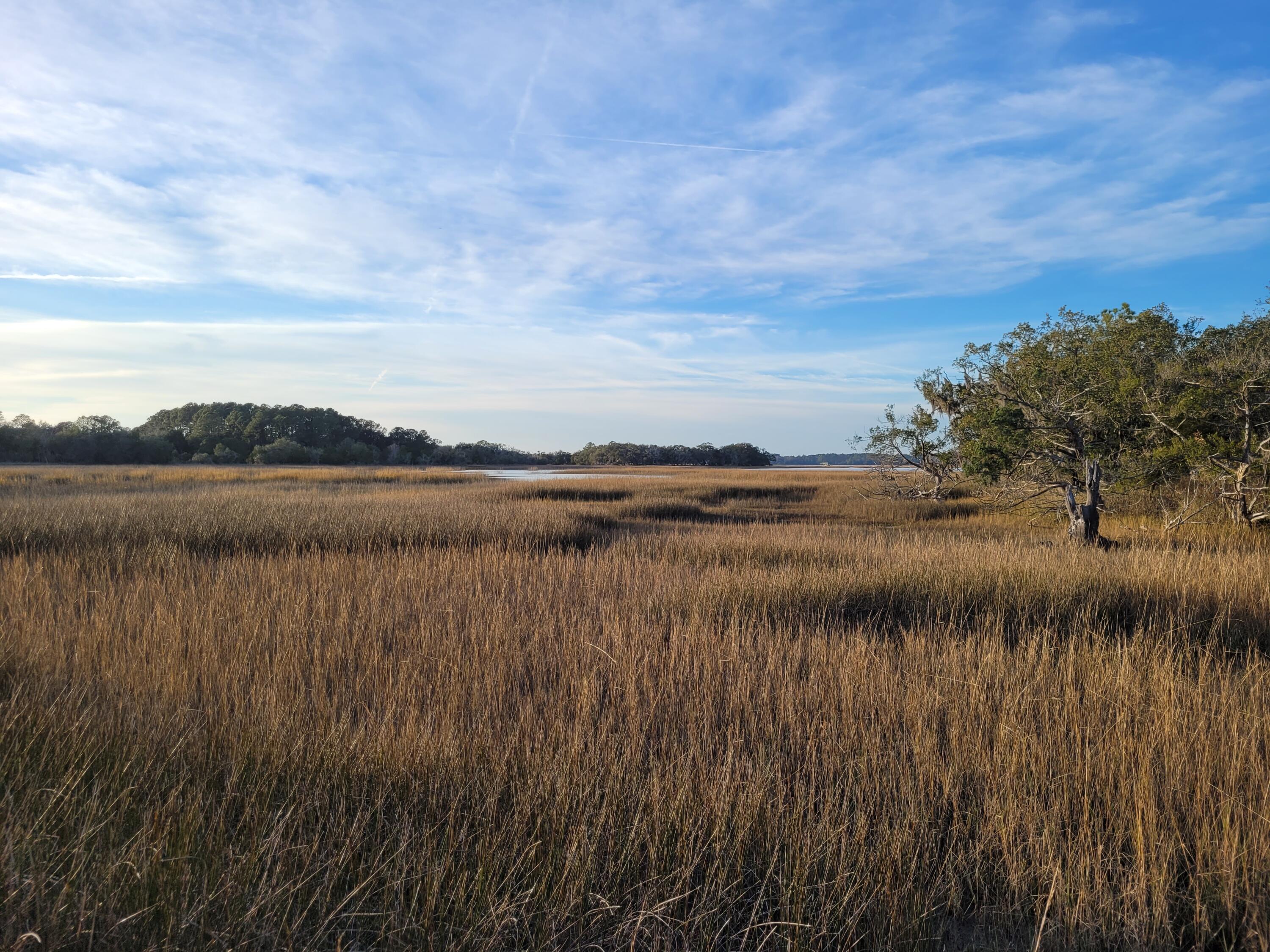 6258 Josie Ridge Road Wadmalaw Island, SC 29487 - Photo 5 of 18 20230103_164426