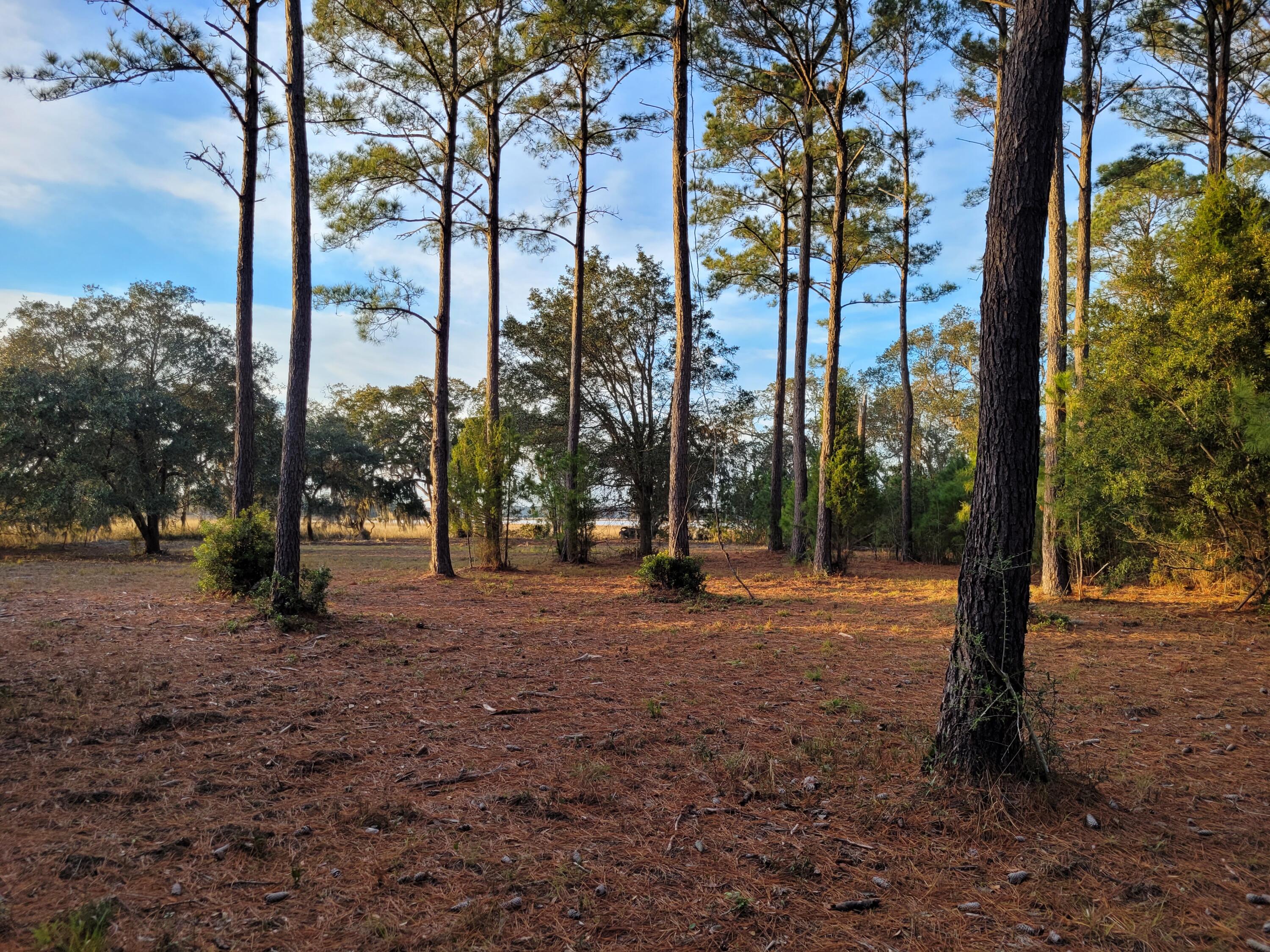 6258 Josie Ridge Road Wadmalaw Island, SC 29487 - Photo 8 of 18 20230103_165630