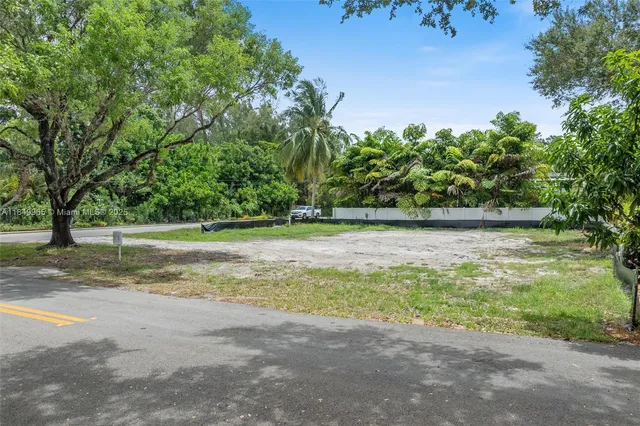 a view of a yard with a tree