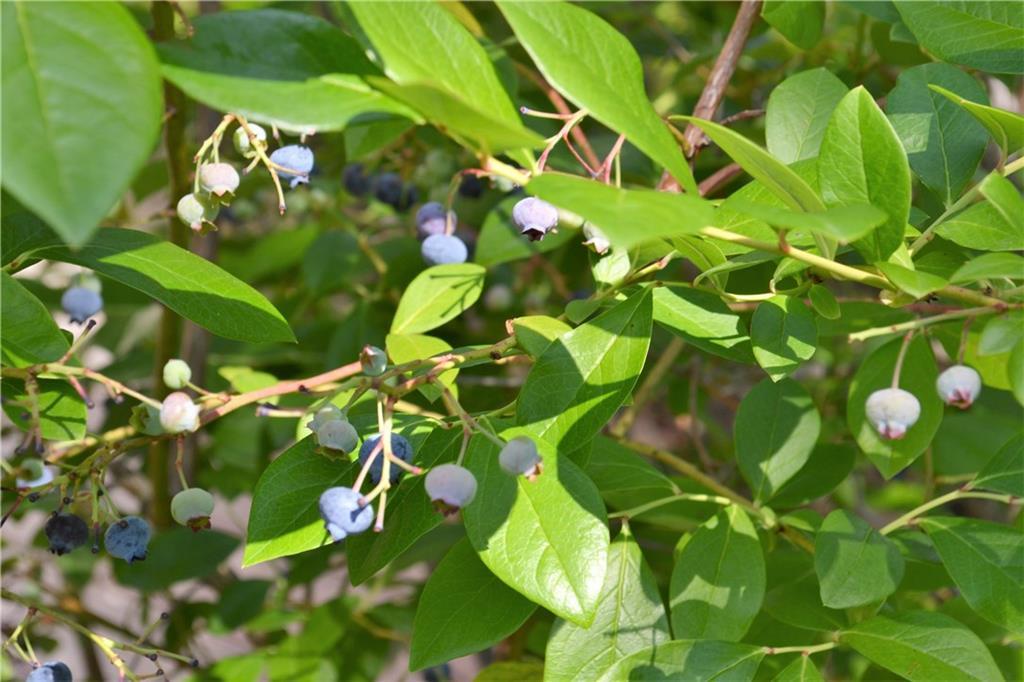 61 Clapboard Road Portland, ME 04103 - Photo 12 of 35 Photo