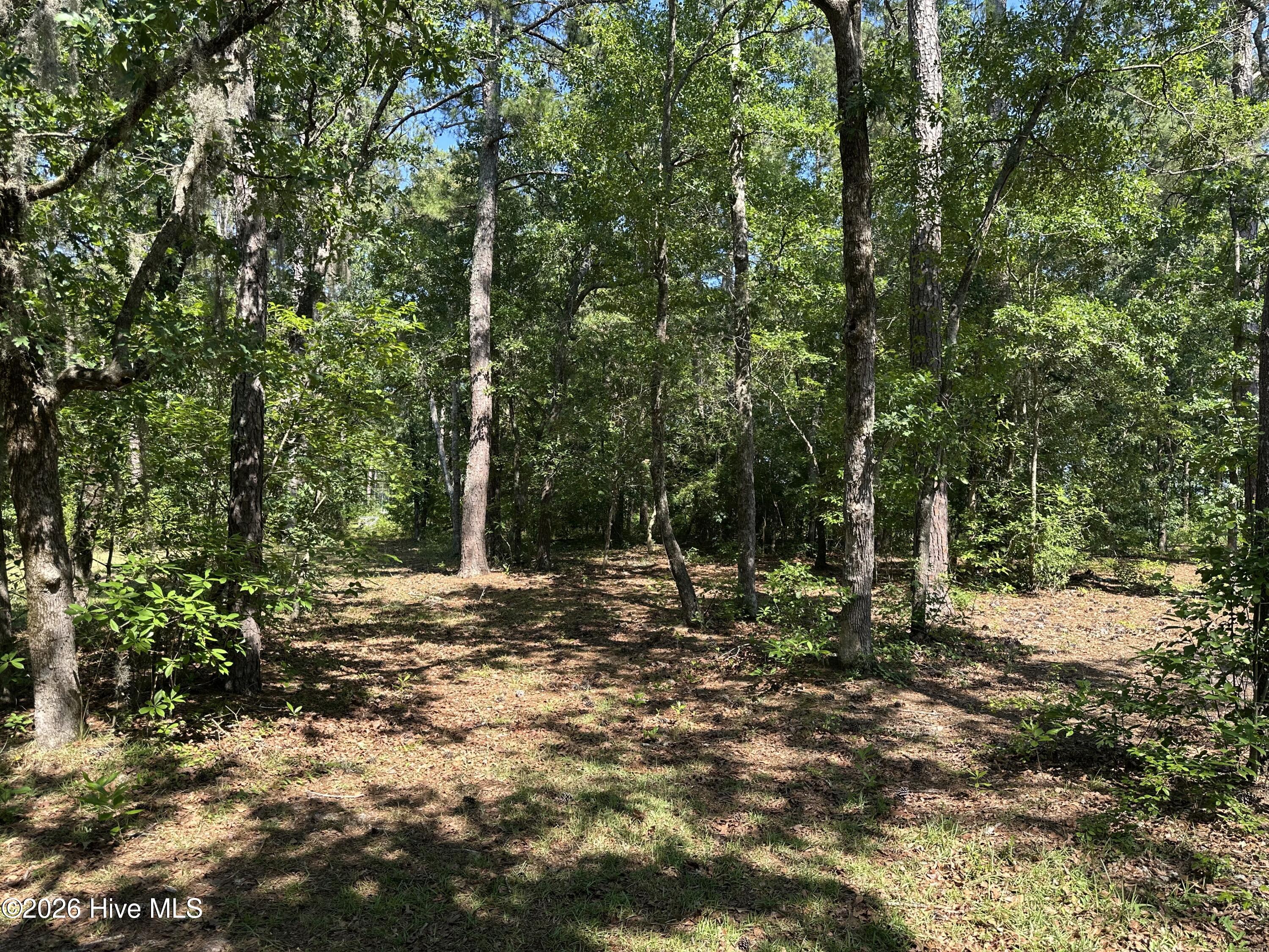 3 Big Eagle Road Atkinson, NC 28421 - Photo 6 of 14