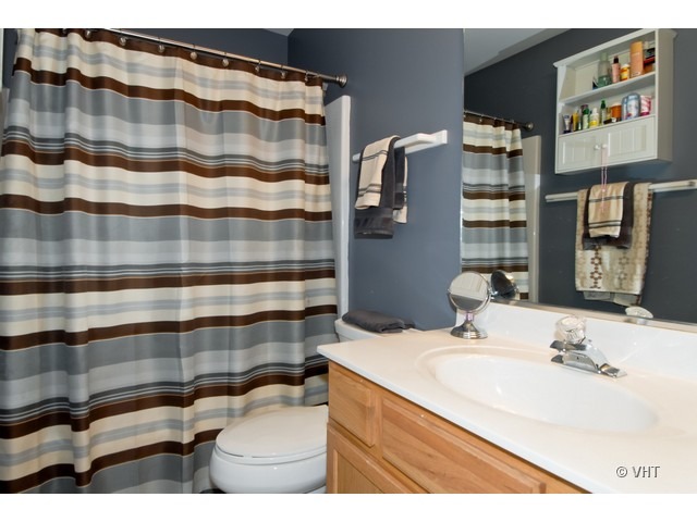 655 Ridge Drive Elburn, IL 60119 - Photo 14 of 16 a bathroom with a sink and a mirror
