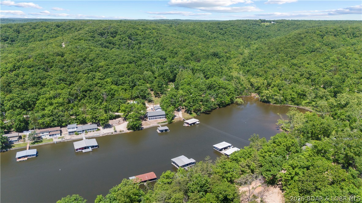 5-acres Pirates Pirates Cove Road Camdenton, MO 65020 - Photo 11 of 30