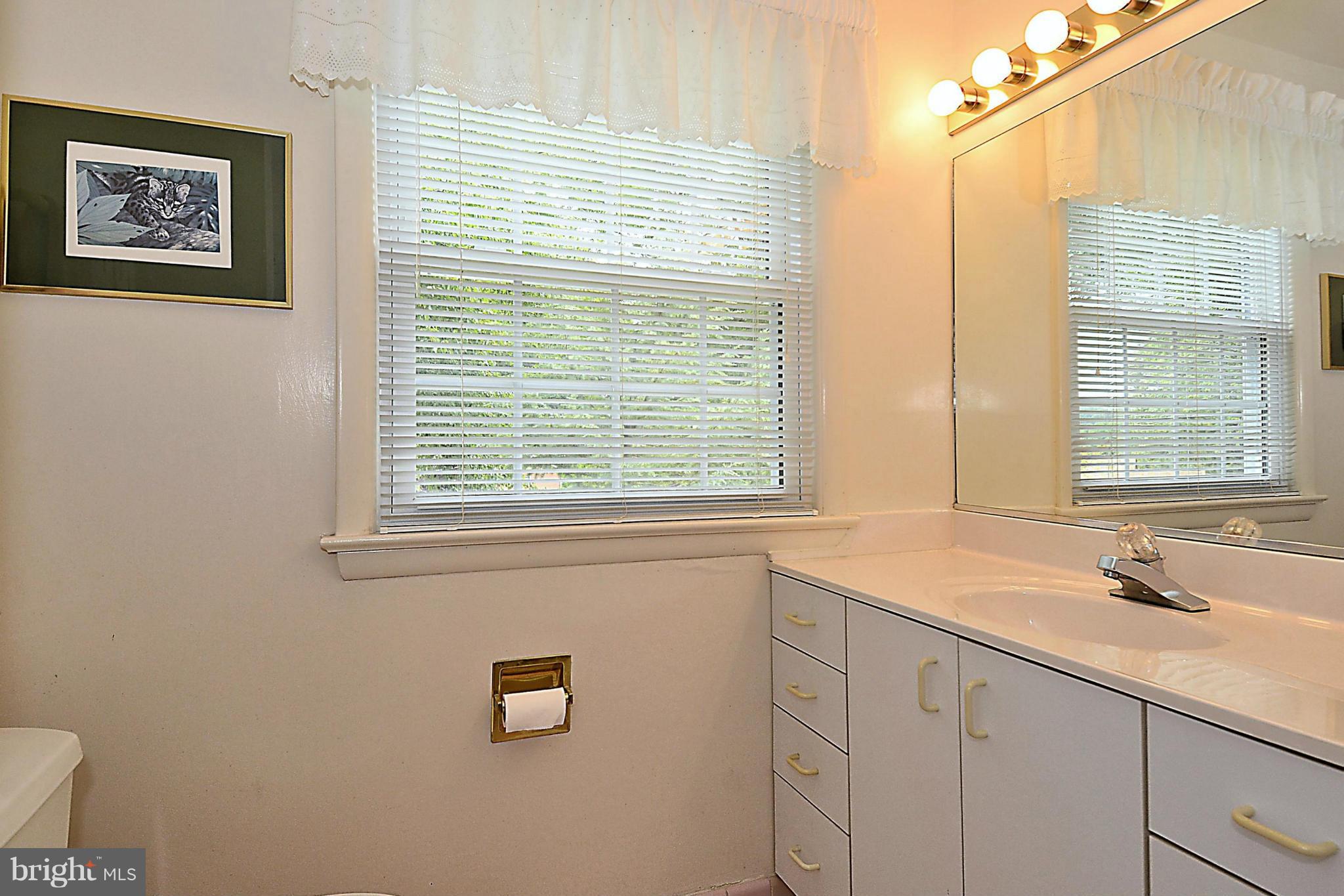 11520 Lovejoy Street Silver Spring, MD 20902 - Photo 21 of 30 Hall Bath 2 - Vanity