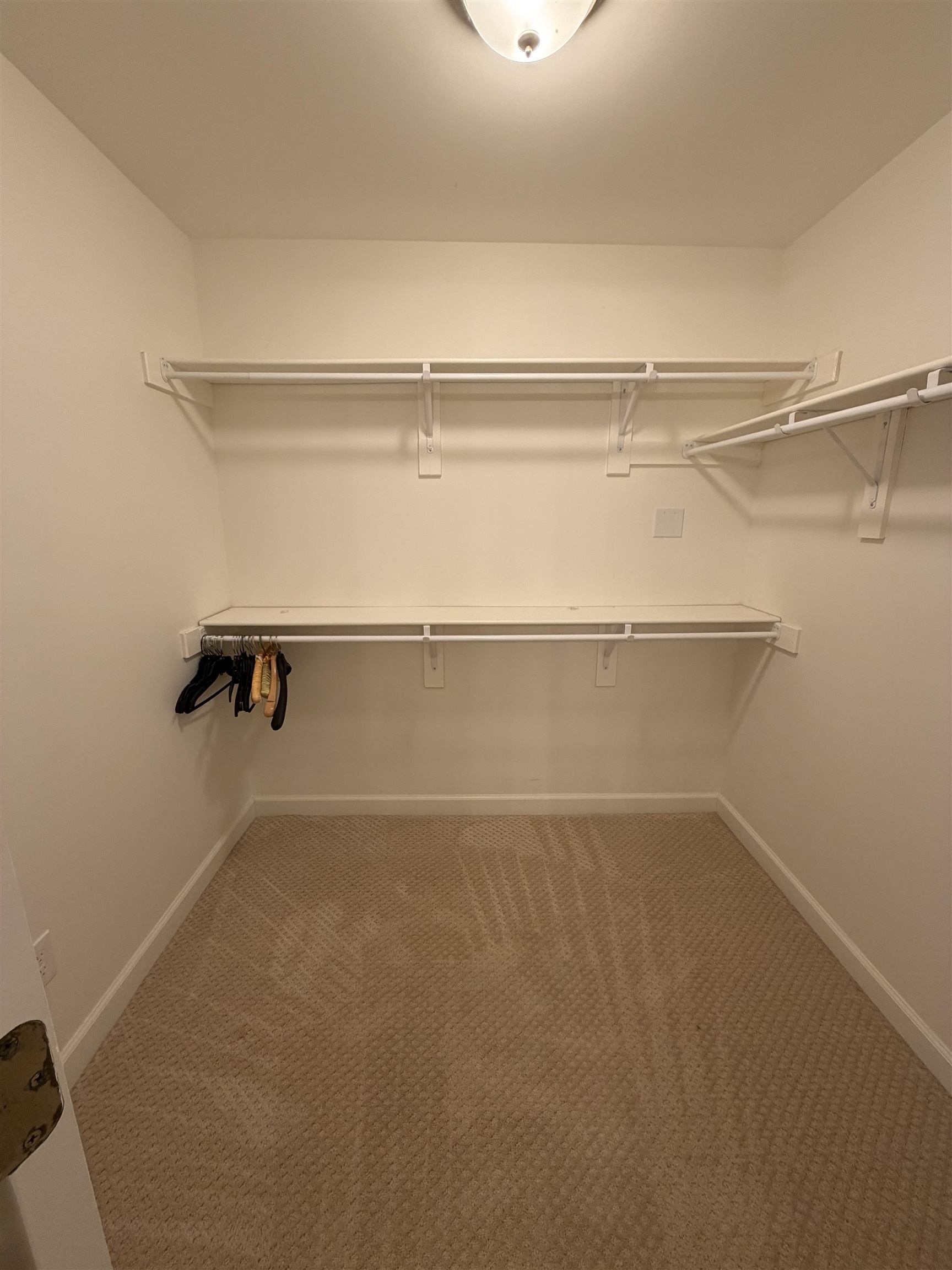 147 Greeff Lane Memphis, TN 38111 - Photo 18 of 23 a close view of closet