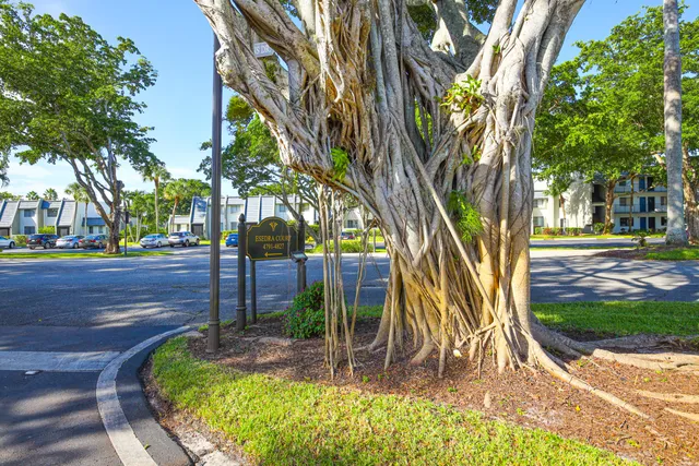 a view of outdoor space yard and patio