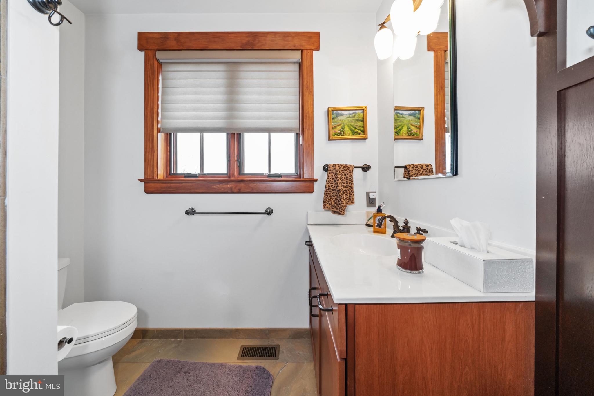 3924 Thompsons Bridge Road Wilmington, DE 19807 - Photo 48 of 78 a bathroom with a sink a toilet and a window