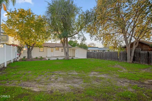 a view of a backyard with large trees and wooden fence