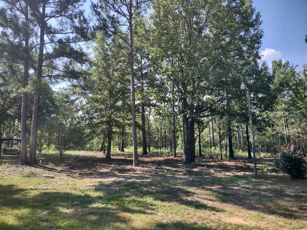 885 Mauk Road Mauk, GA 31058 - Photo 16 of 35 Gallery Image 16