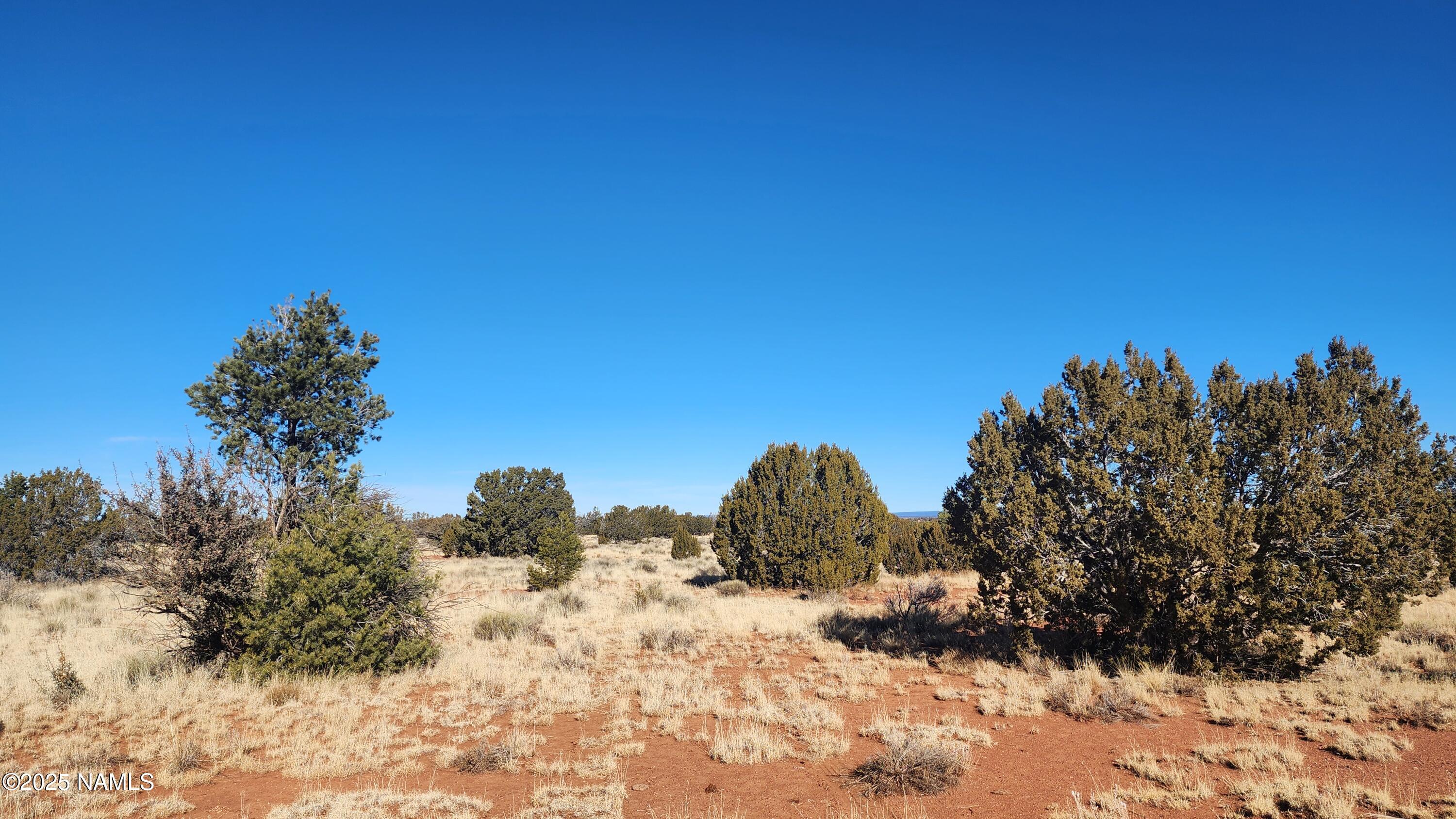 3372 East Valencia Road Williams, AZ 86046 - Photo 16 of 32 1000023794
