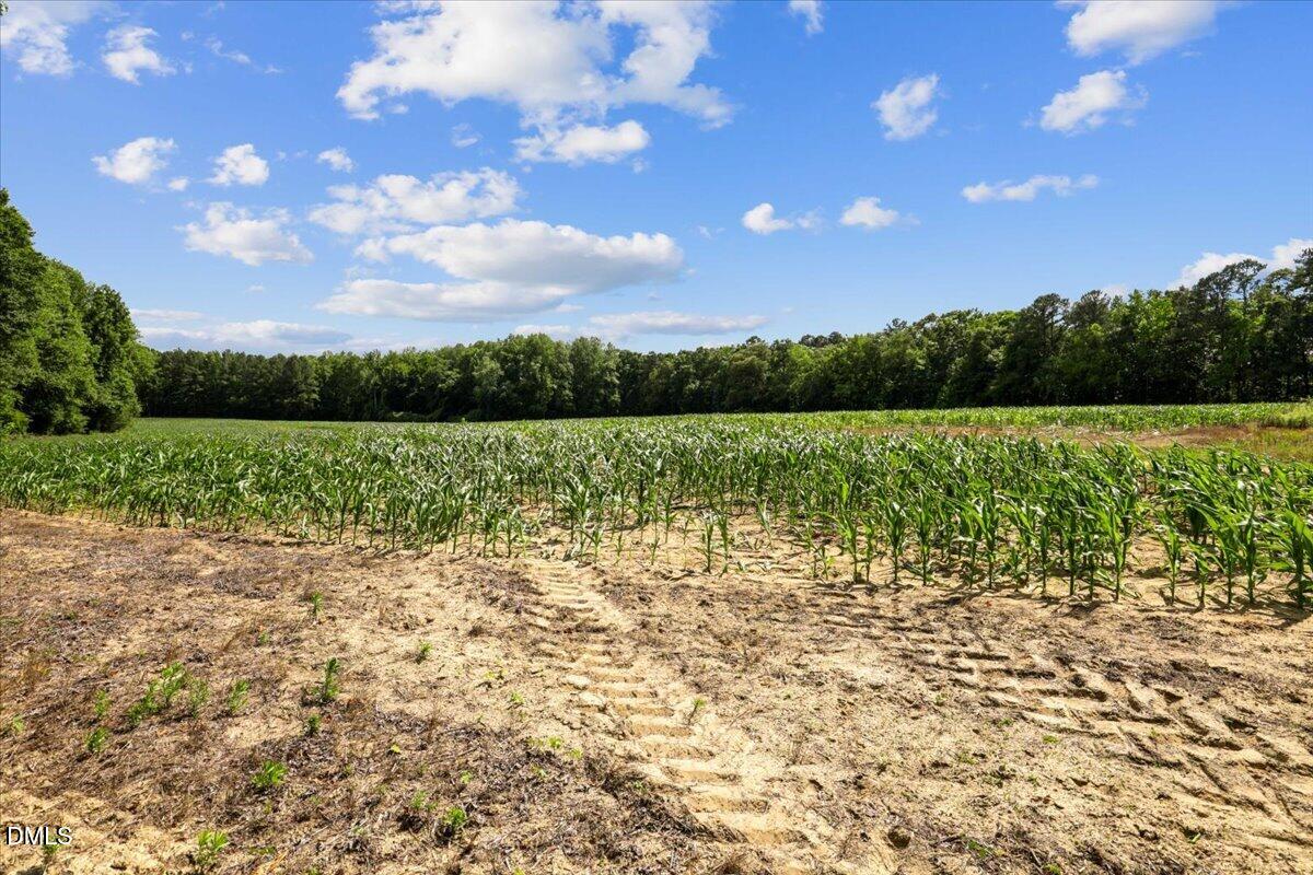 0 Antioch Church Road Middlesex, NC 27557 - Photo 19 of 26