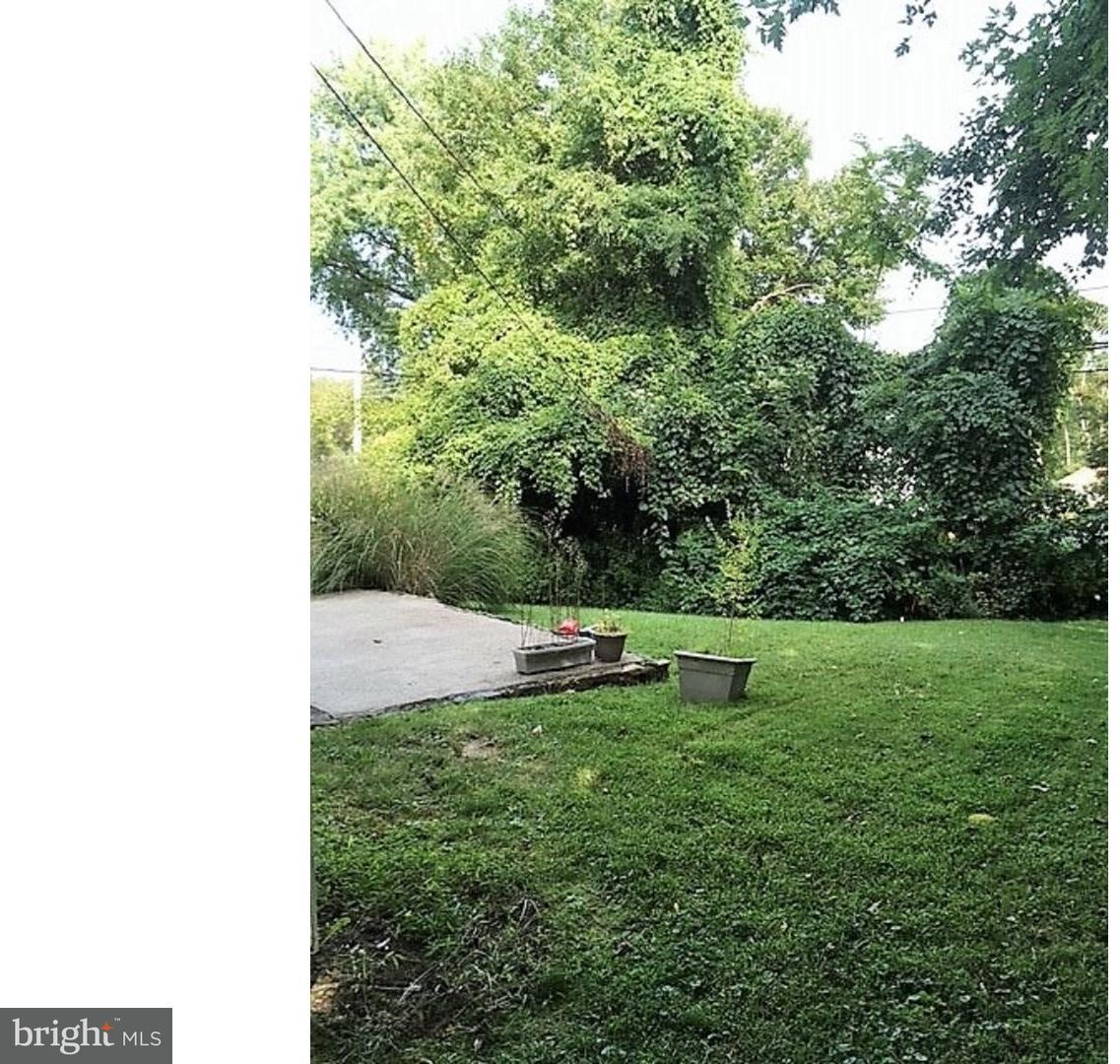 407 Greenhill Road Willow Grove, PA 19090 - Photo 1 of 6 Back Yard