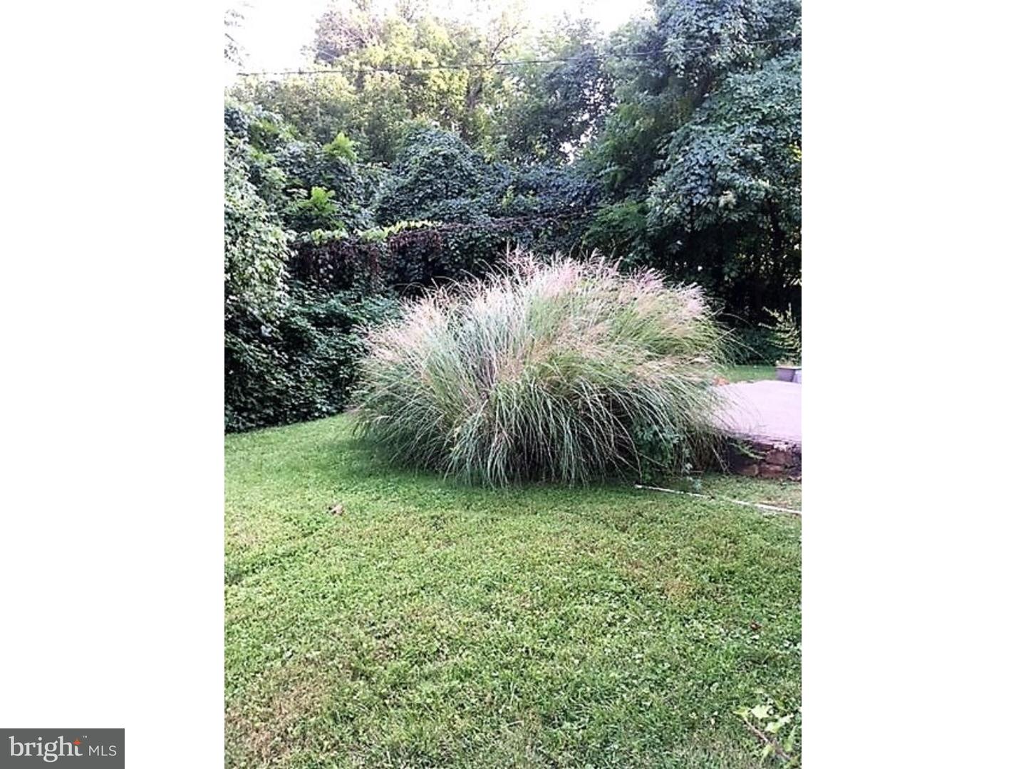 407 Greenhill Road Willow Grove, PA 19090 - Photo 2 of 6 Back Yard
