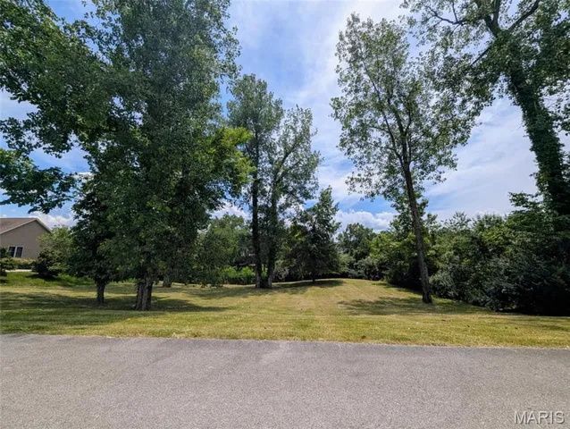 $50,000 | 69 David Livingston Drive, Carterville, IL 62918