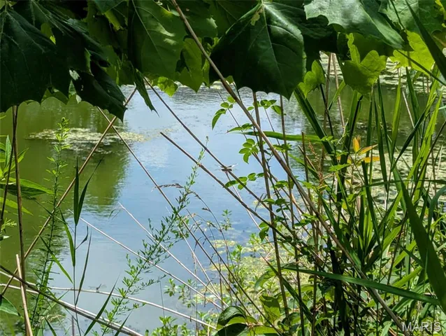 $50,000 | 69 David Livingston Drive, Carterville, IL 62918