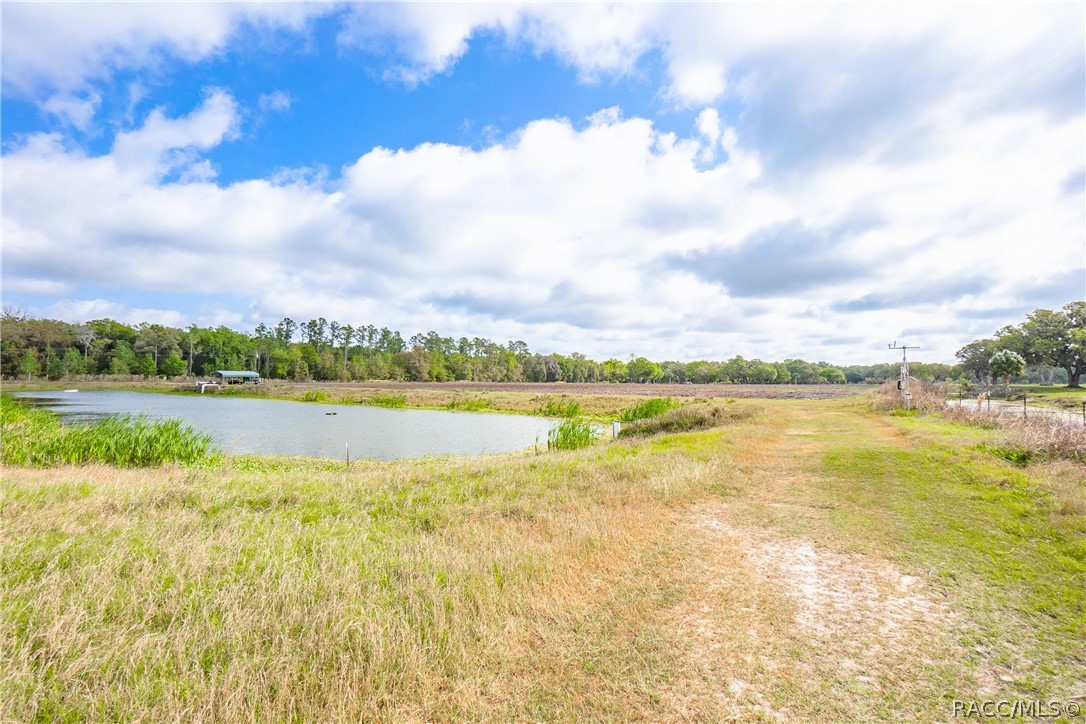 10774 East Lucas Trail Inverness, FL 34450 - Photo 13 of 18
