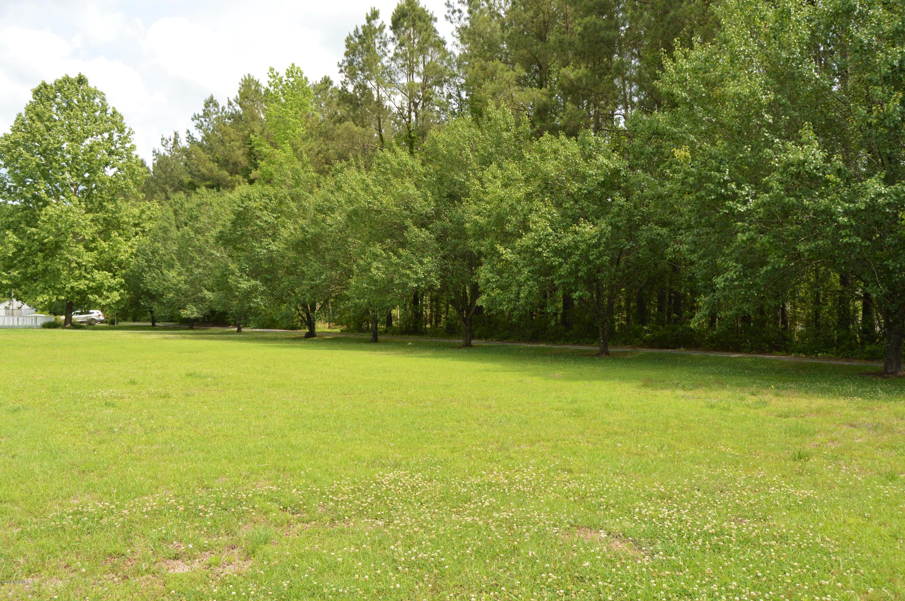 4195 Highsmith Road Burgaw, NC 28425 - Photo 28 of 33 trees along driveway