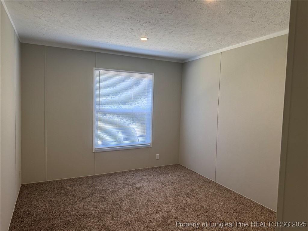 909 Wiregrass Road Hamlet, NC 28345 - Photo 19 of 27