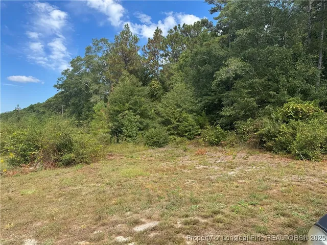 $169,900 | 909 Wiregrass Road, Hamlet, NC 28345