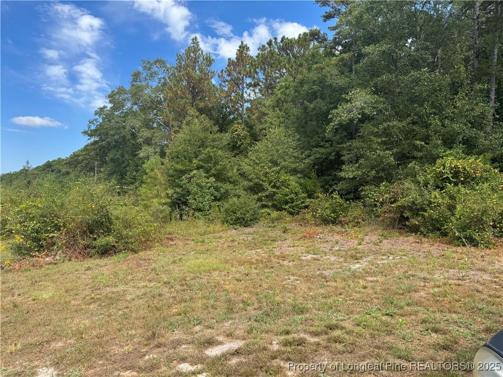 909 Wiregrass Road Hamlet, NC 28345 - Photo 2 of 27