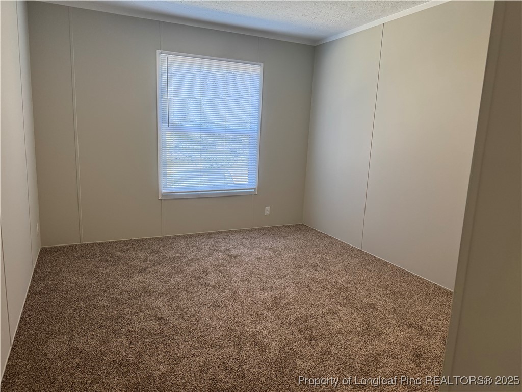 909 Wiregrass Road Hamlet, NC 28345 - Photo 25 of 27