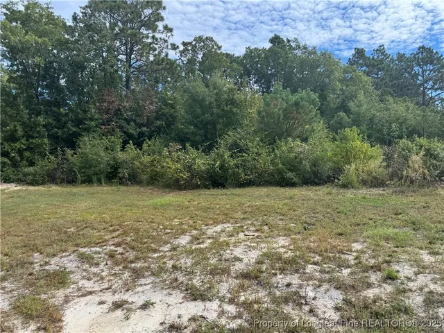 $169,900 | 909 Wiregrass Road, Hamlet, NC 28345