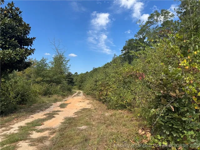 $169,900 | 909 Wiregrass Road, Hamlet, NC 28345