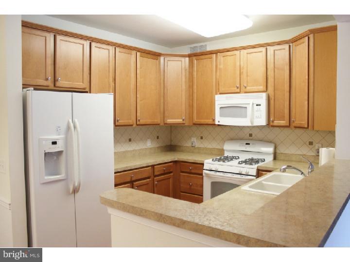 433 East Brookhaven Road Brookhaven, PA 19015 - Photo 13 of 20 Gallery Image 13