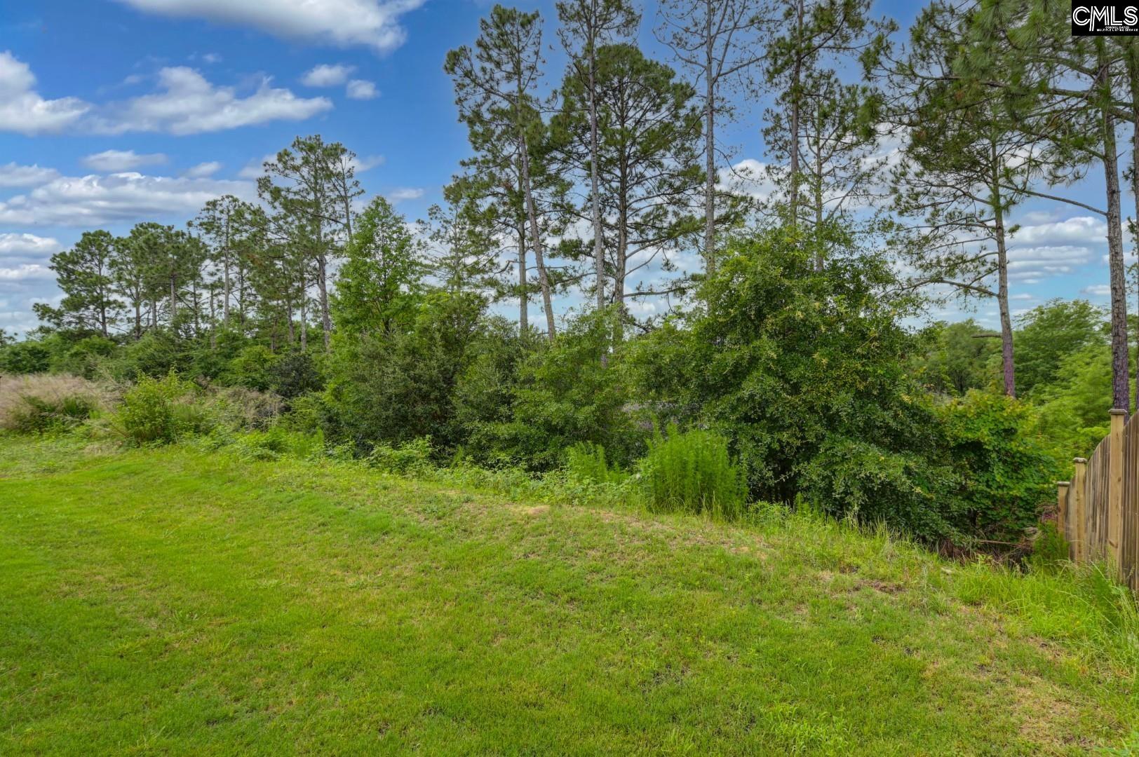 608 Frow Drive Elgin, SC 29045 - Photo 43 of 49