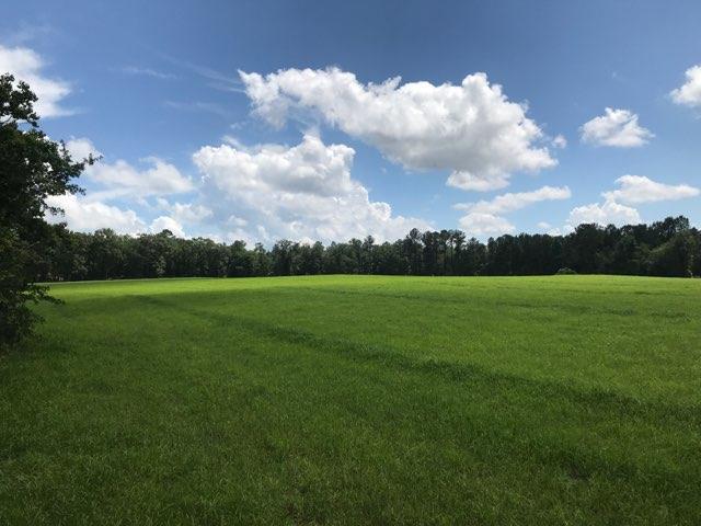 0 Oliff Road Quitman, GA 31643 - Photo 1 of 1 Gallery Image 1