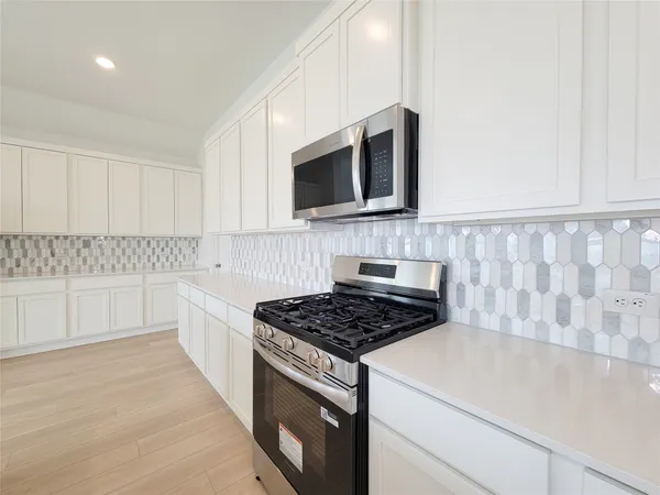 $2,795 | 17850 Aile Pierre Pass, Conroe, TX 77302