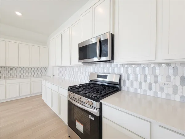 $2,795 | 17850 Aile Pierre Pass, Conroe, TX 77302