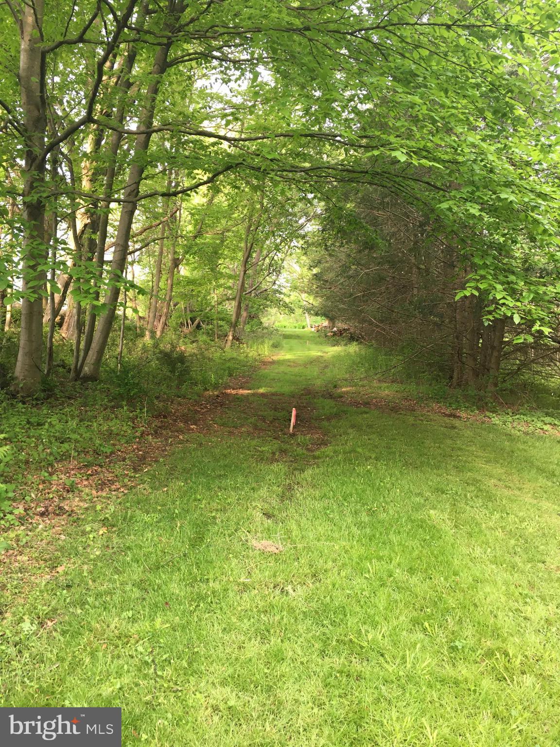 0 Weil Road Bechtelsville, PA 19505 - Photo 1 of 10 Gallery Image 1