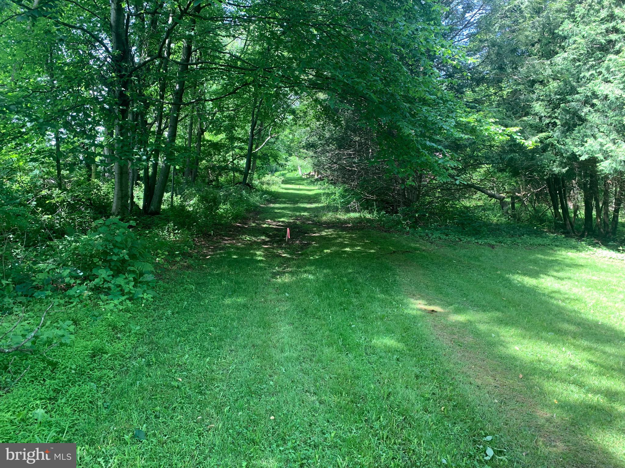 0 Weil Road Bechtelsville, PA 19505 - Photo 6 of 10 Gallery Image 6
