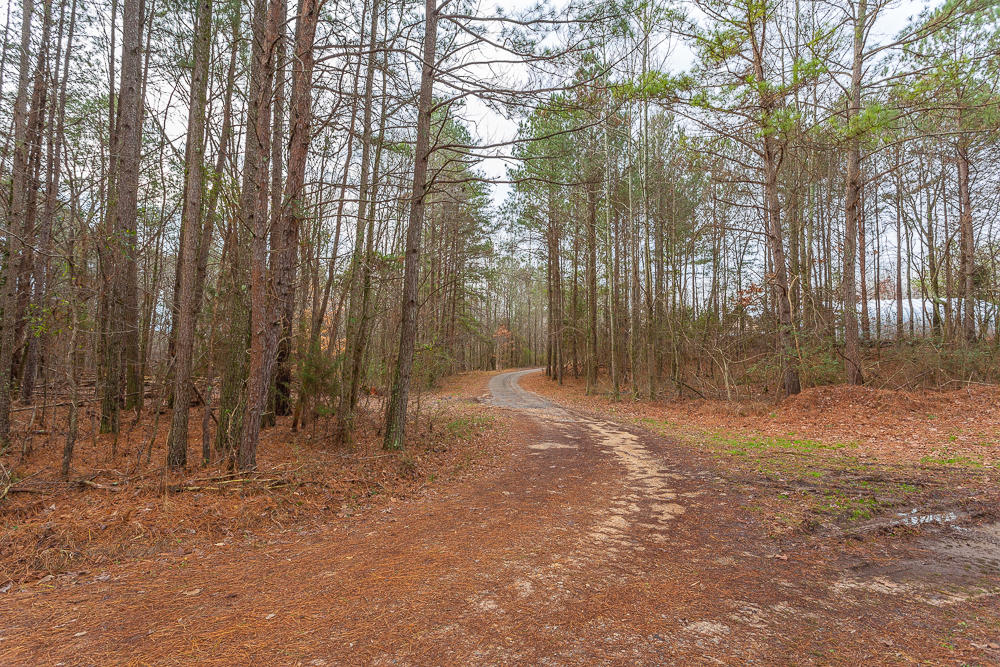 160 Monroe Green Road Trion, GA 30753 - Photo 6 of 72 160 Monroe Green HD -5