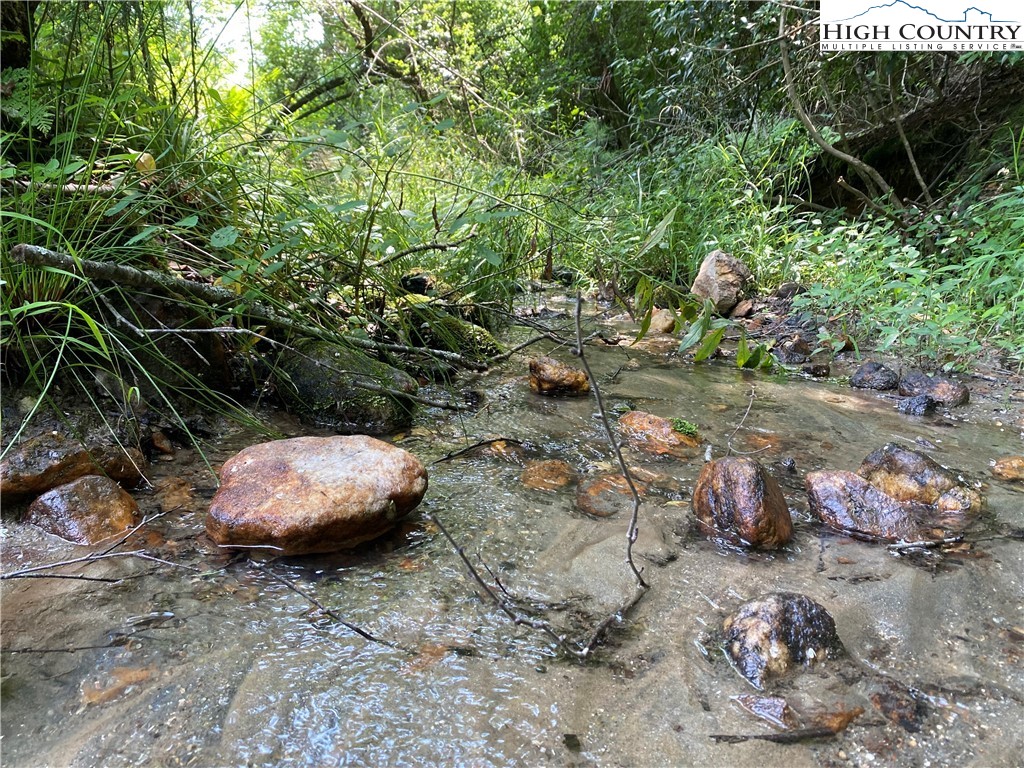 16-lots Hidden Spring Road West Jefferson, NC 28694 - Photo 3 of 14 a view of a wooden floor and some plants