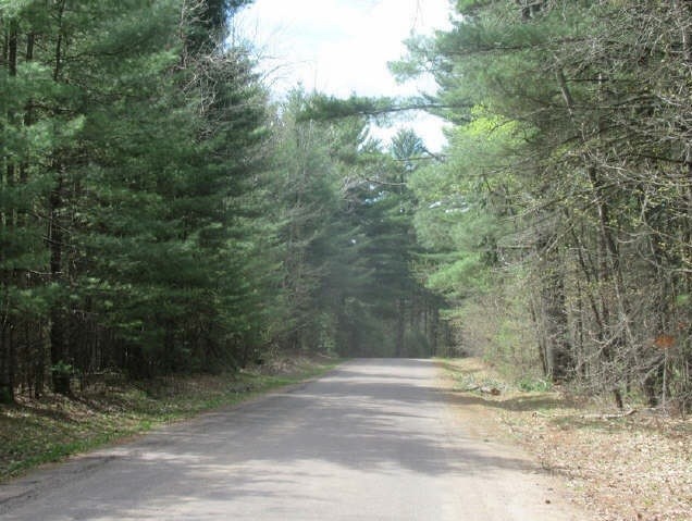 Xxx Normans Landing Road Webster, WI 54893 - Photo 7 of 7