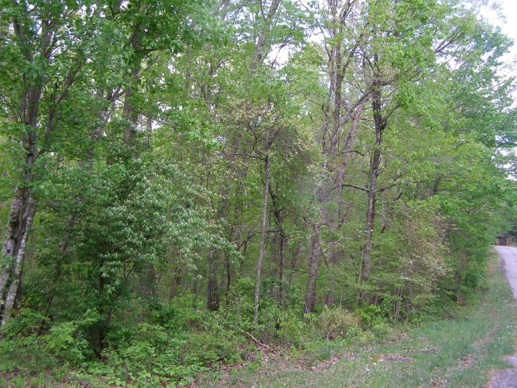 1438 Milo Webb Road Crossville, TN 38572 - Photo 3 of 9 Gallery Image 3