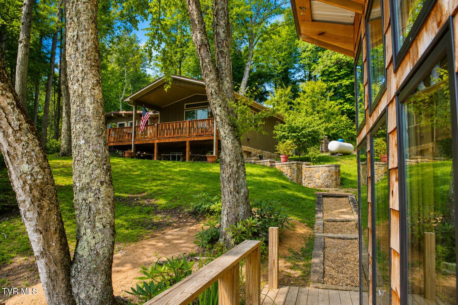 282 Ripshin Lake Road Roan Mountain, TN 37687 - Photo 15 of 72 Back of house 2