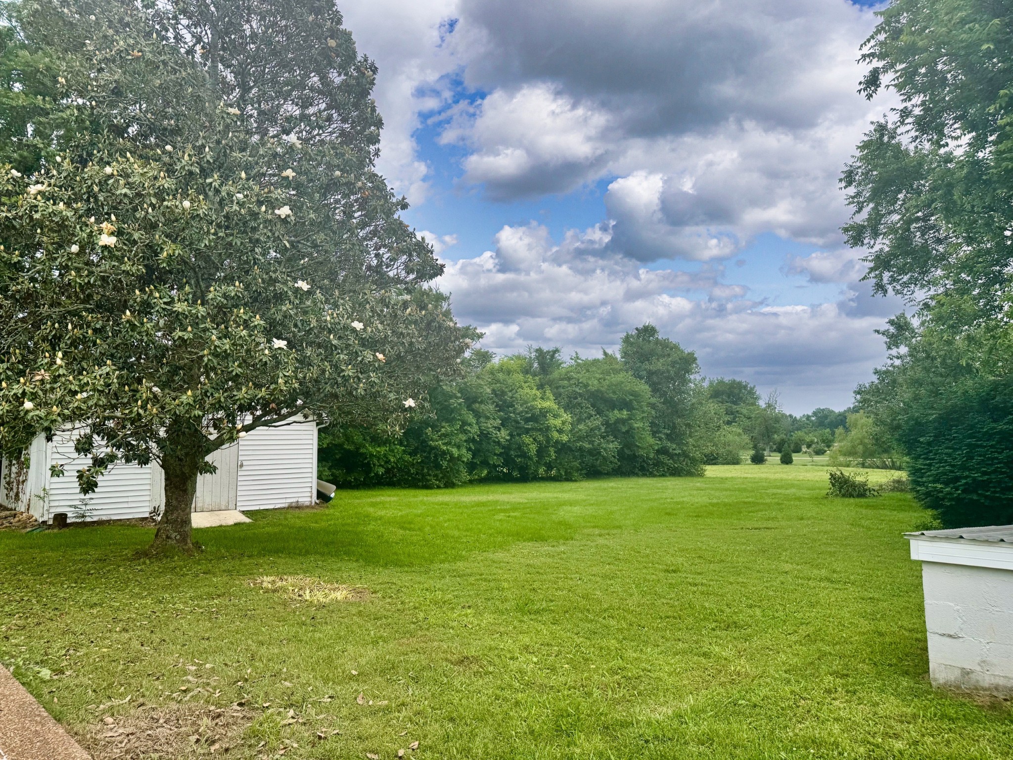 701 Morton Road Murfreesboro, TN 37128 - Photo 20 of 24 a view of a garden with a building in the background