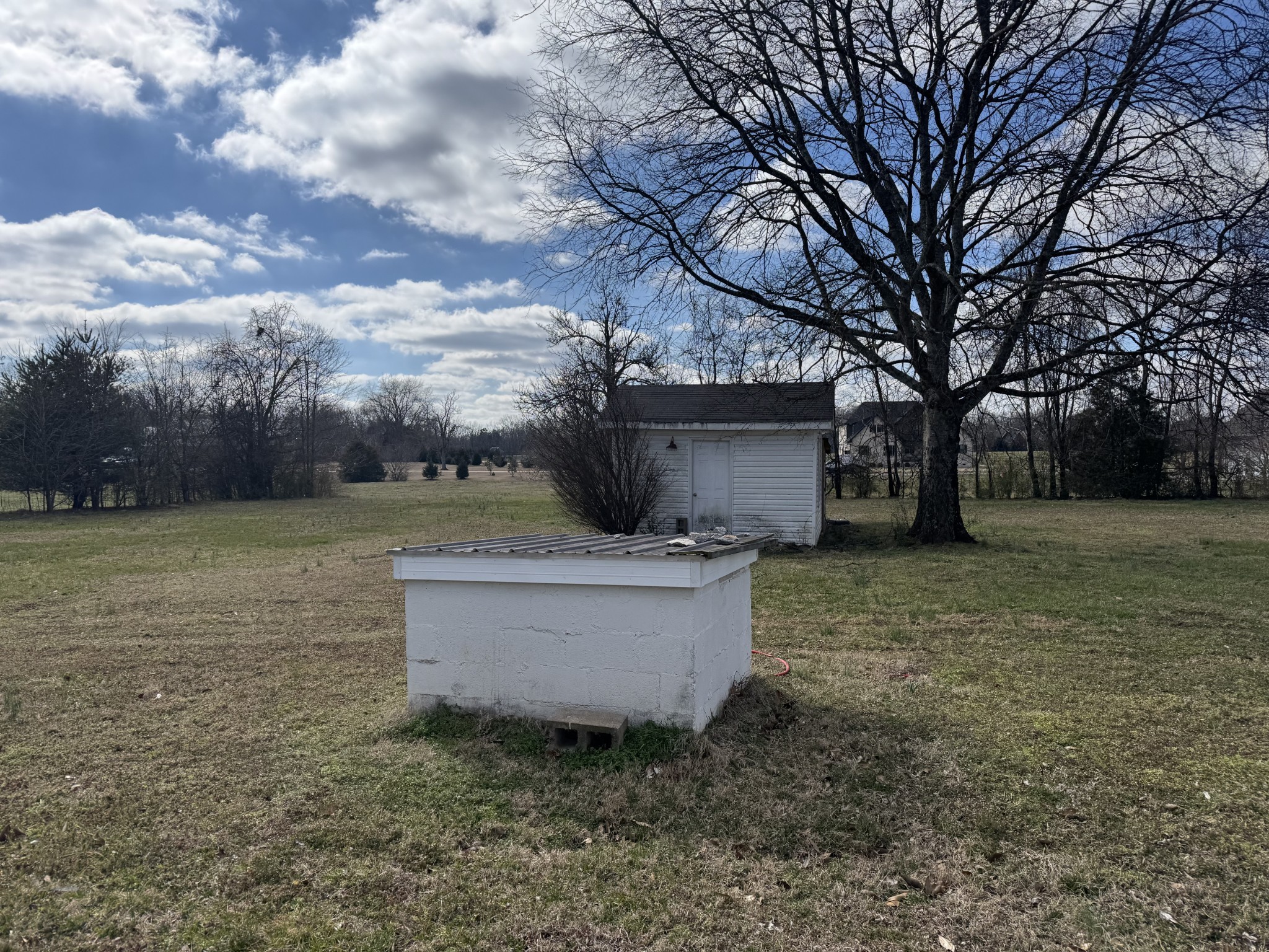 701 Morton Road Murfreesboro, TN 37128 - Photo 23 of 24 a view of a backyard with large tree