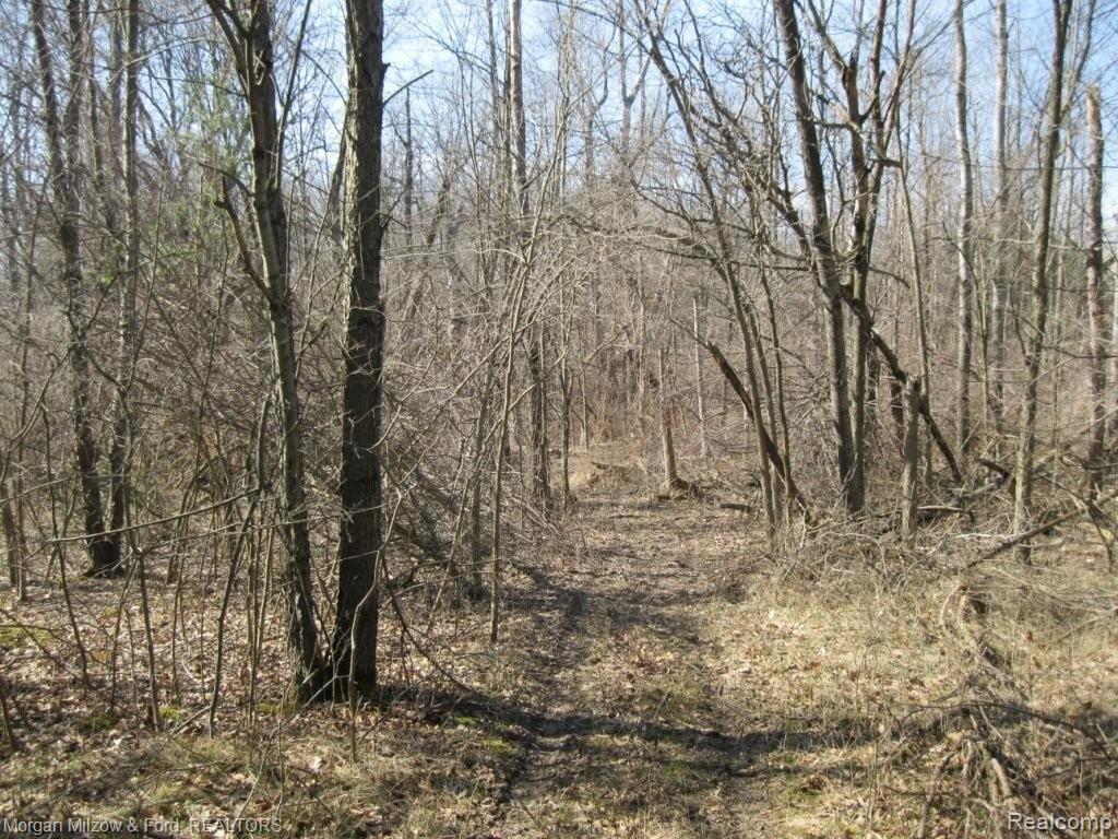 V/l Reese Road Clarkston, MI 48348 - Photo 16 of 24 014.JPG