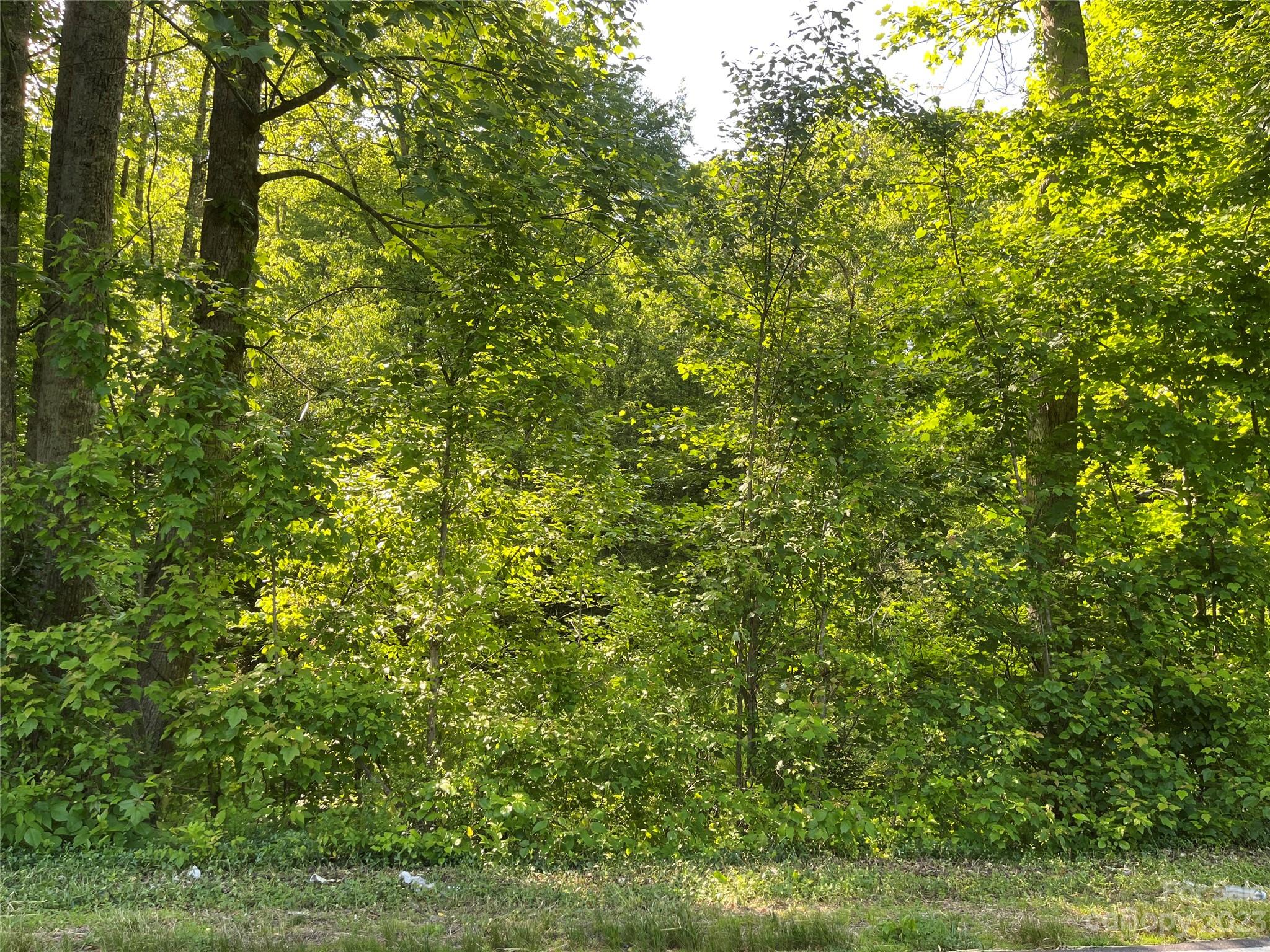 0 North Drexel Road Morganton, NC 28655 - Photo 1 of 2