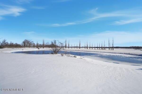3600 Murd Road Berkey, OH 43504 - Photo 53 of 61 Stocked pond