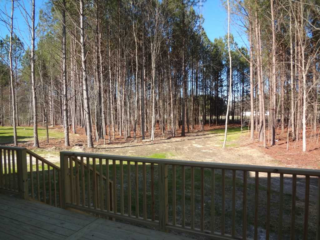 6405 Riley Hill Road Wendell, NC 27591 - Photo 20 of 26 Photo 20