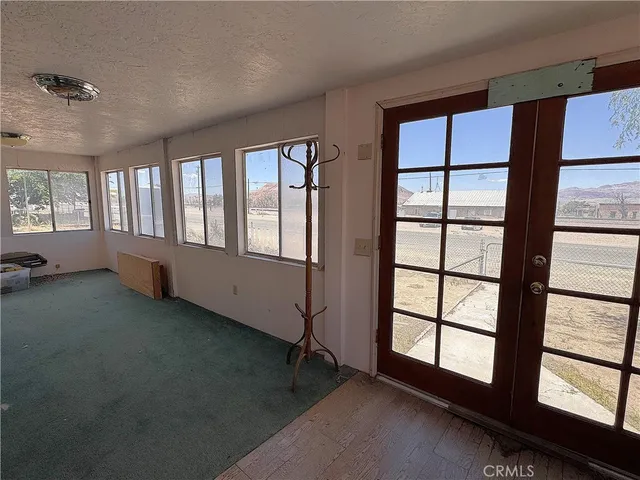 a view of a dirt yard with a large tree