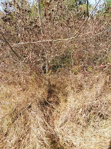 $126,000 | 0 State Hwy H, Lewistown, MO 63452