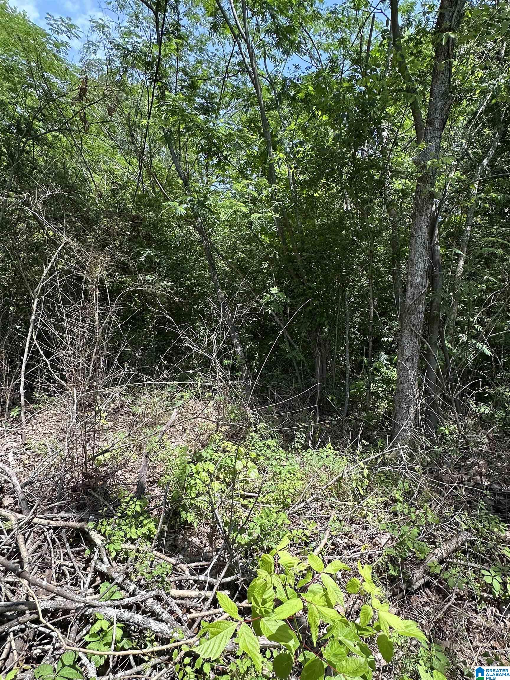 2716 Mary Taylor Road Birmingham, AL 35210 - Photo 7 of 10