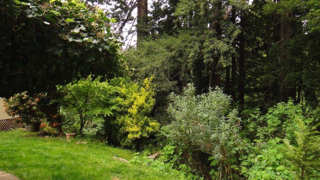 37 Fox Farm Road Trinidad, CA 95570 - Photo 30 of 55
